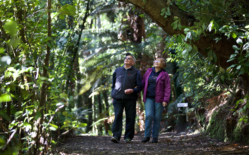 Photo of couple on walk