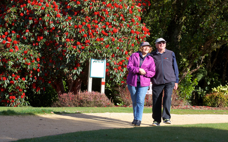 Photo of couple on a walk