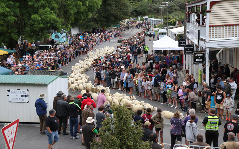 Photo of Republic of Whangamomona Day sheep race